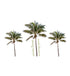 Palm Tree Stickers - set of 3